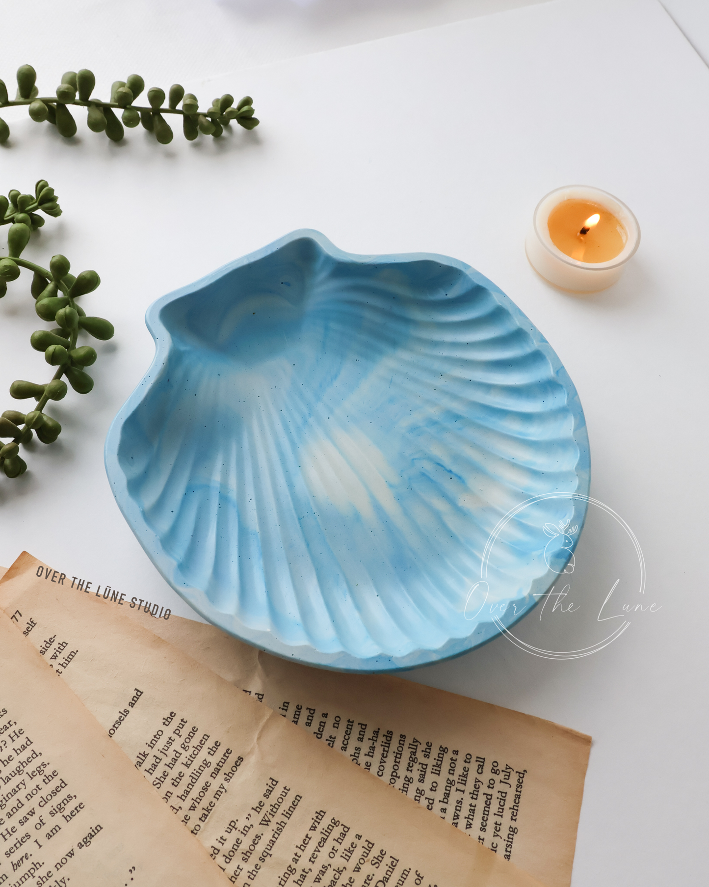 Shell Trinket Tray