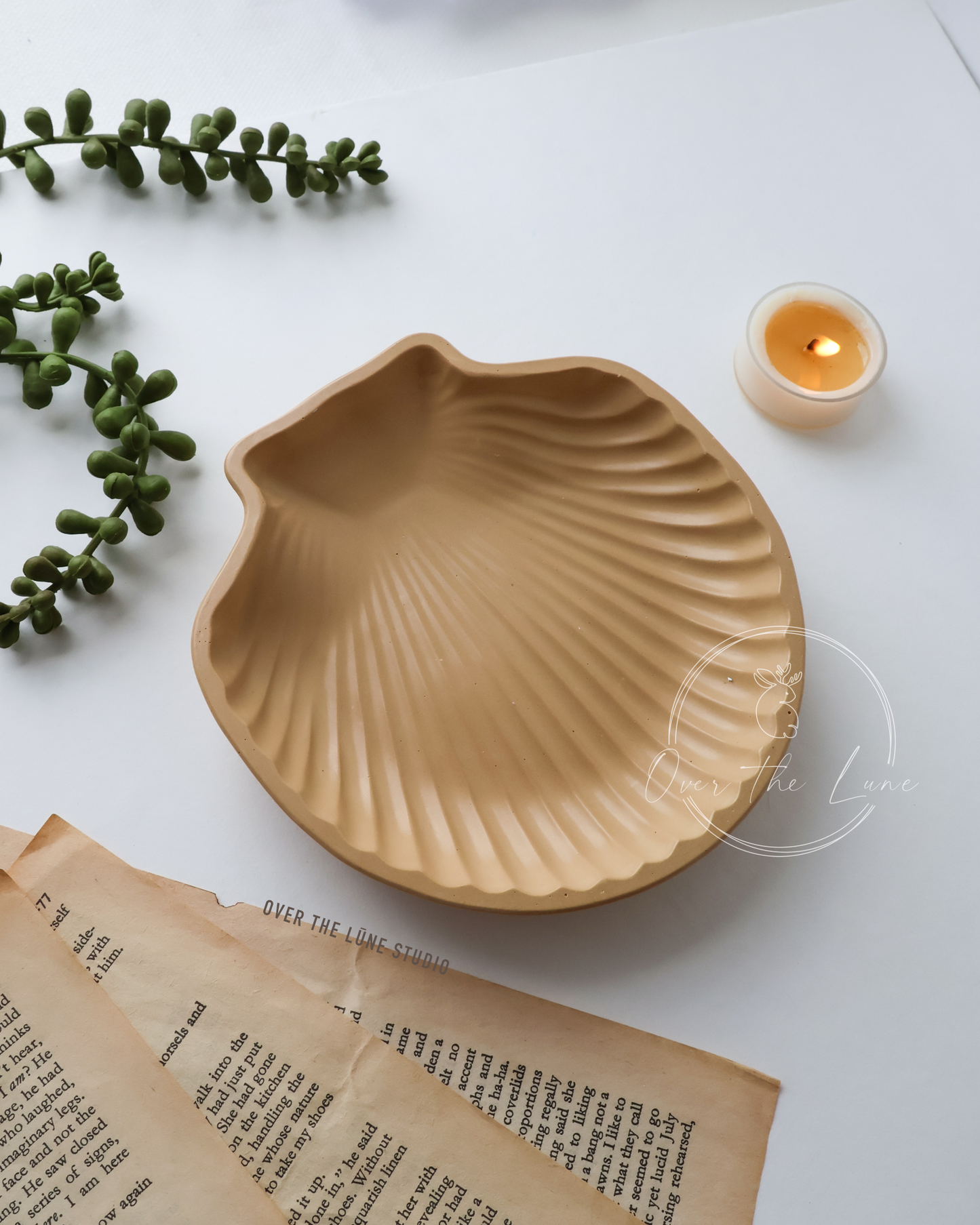 Shell Trinket Tray