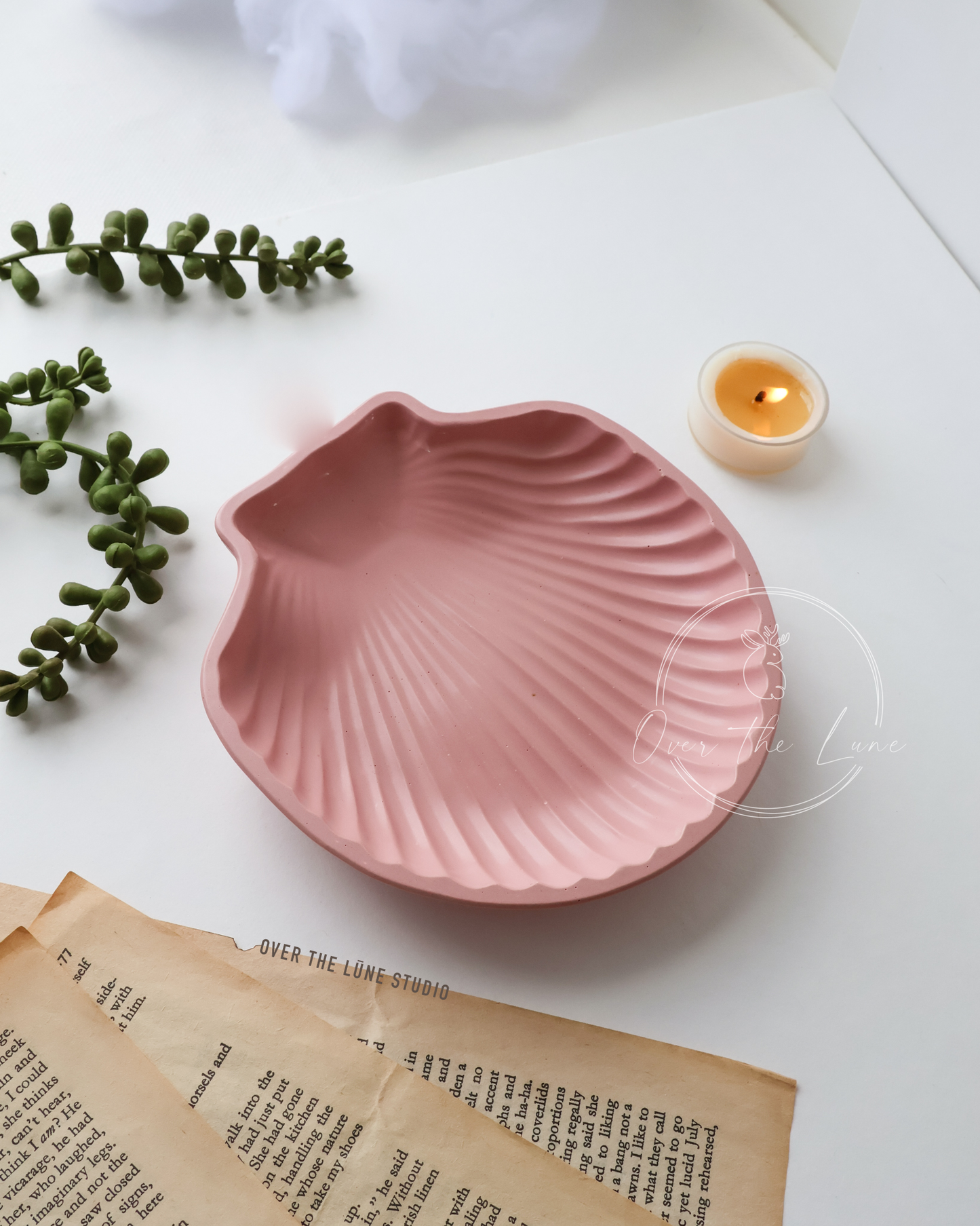 Shell Trinket Tray