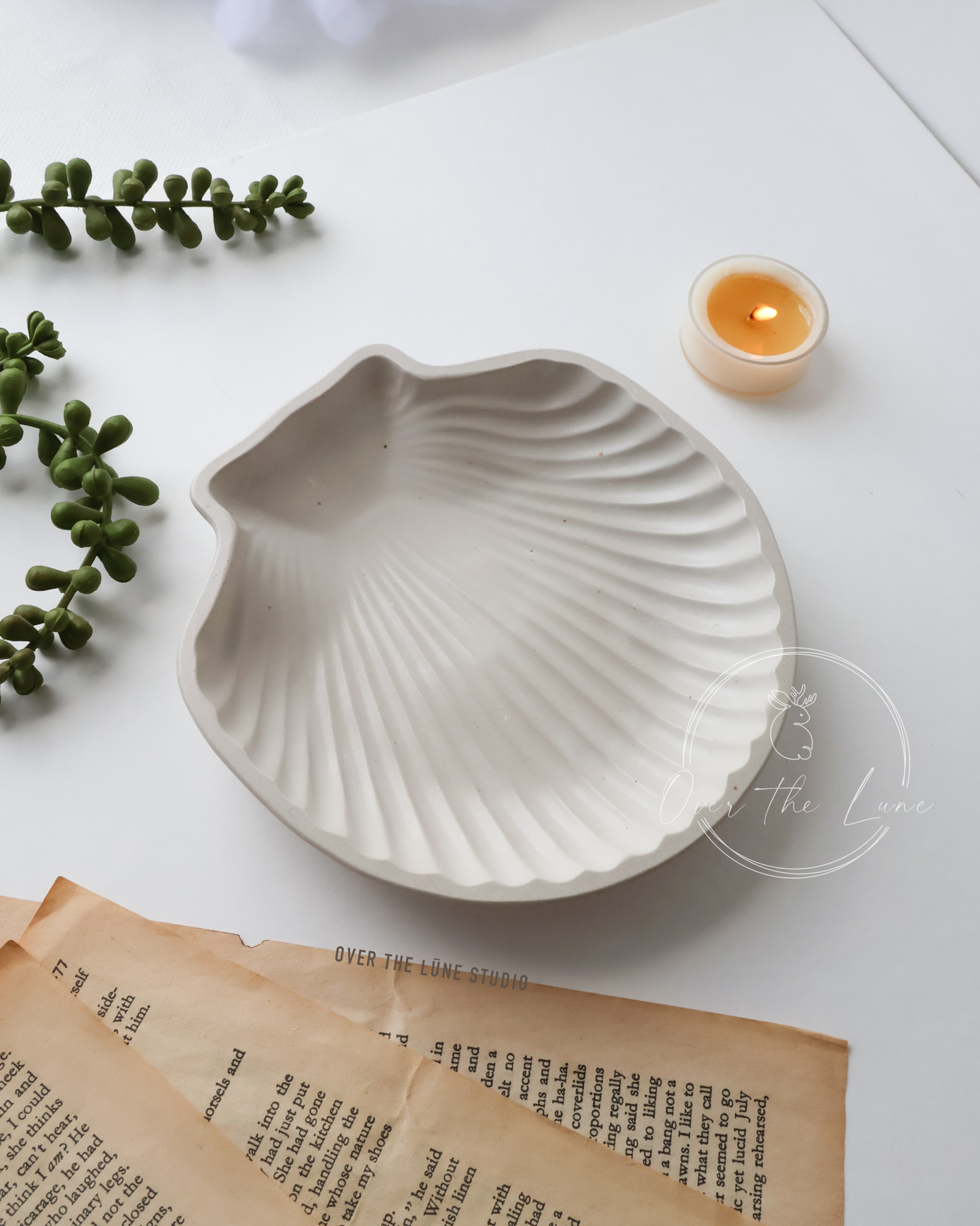Shell Trinket Tray