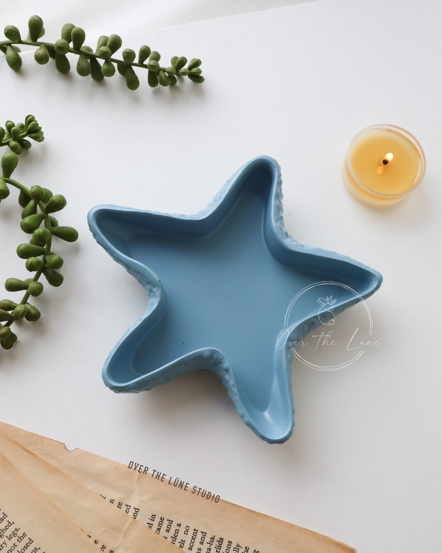 Starfish Tray