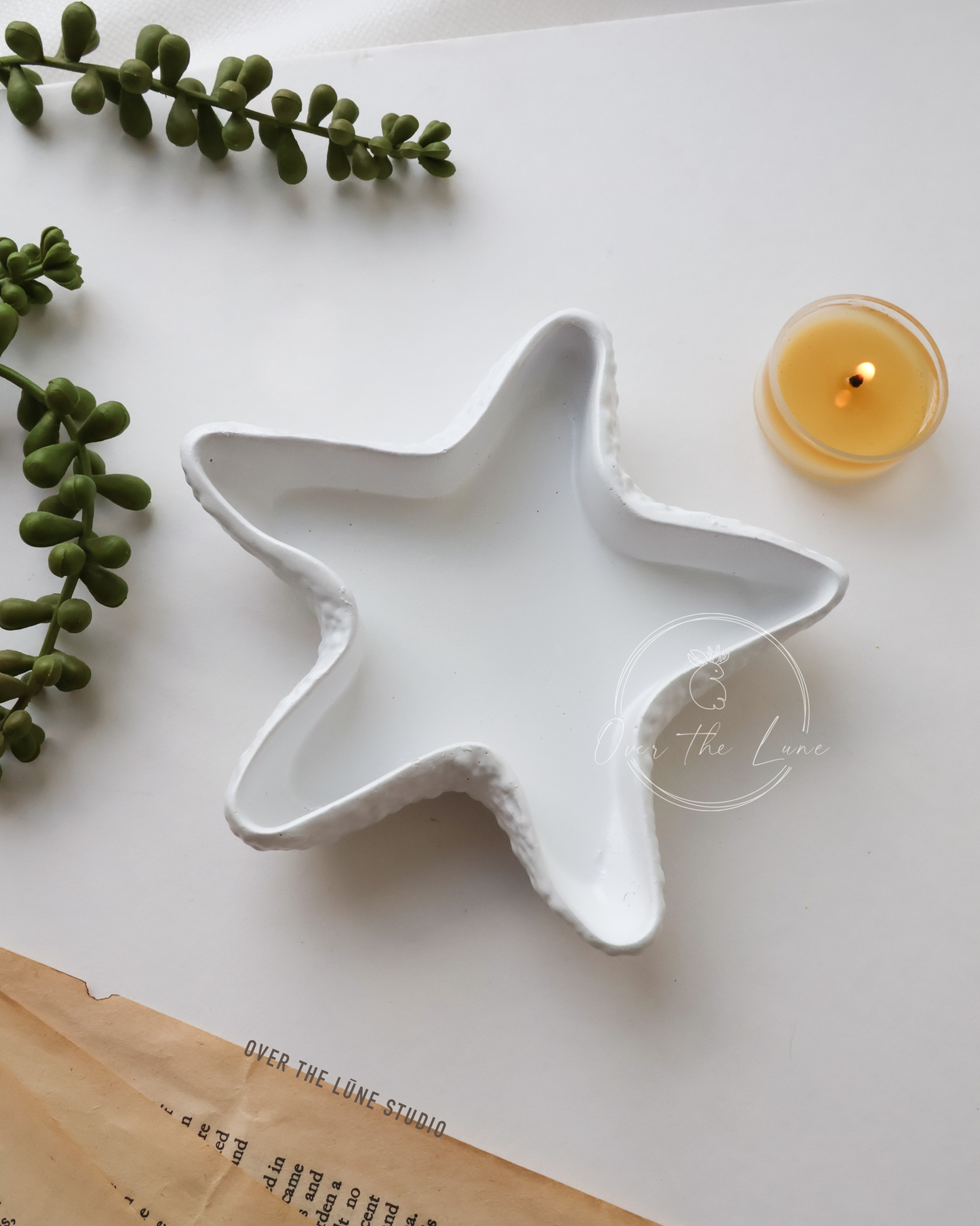 Starfish Tray