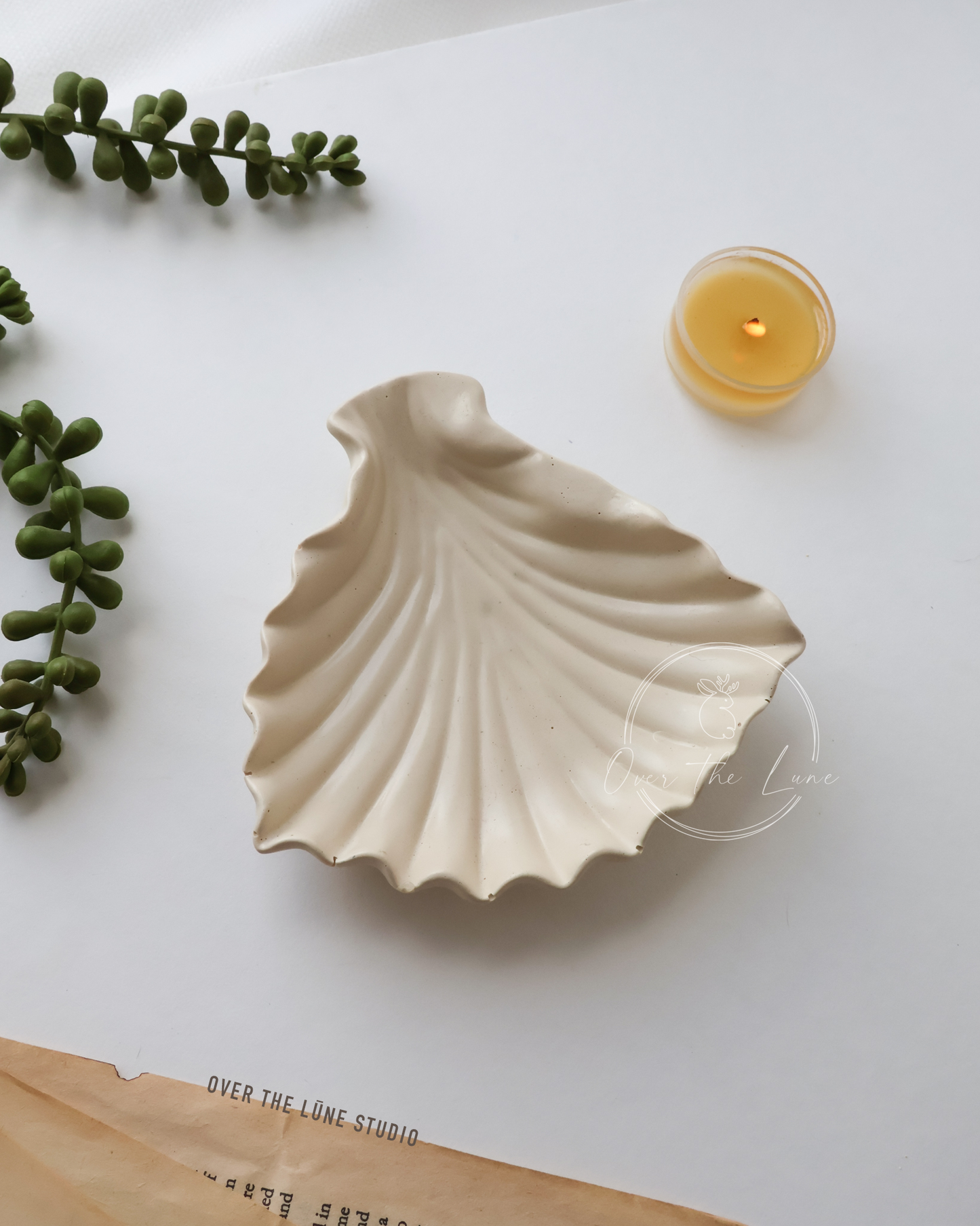 Oyster Trinket Tray