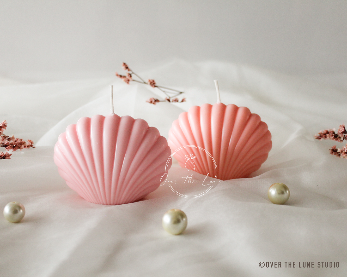 Shell Candle