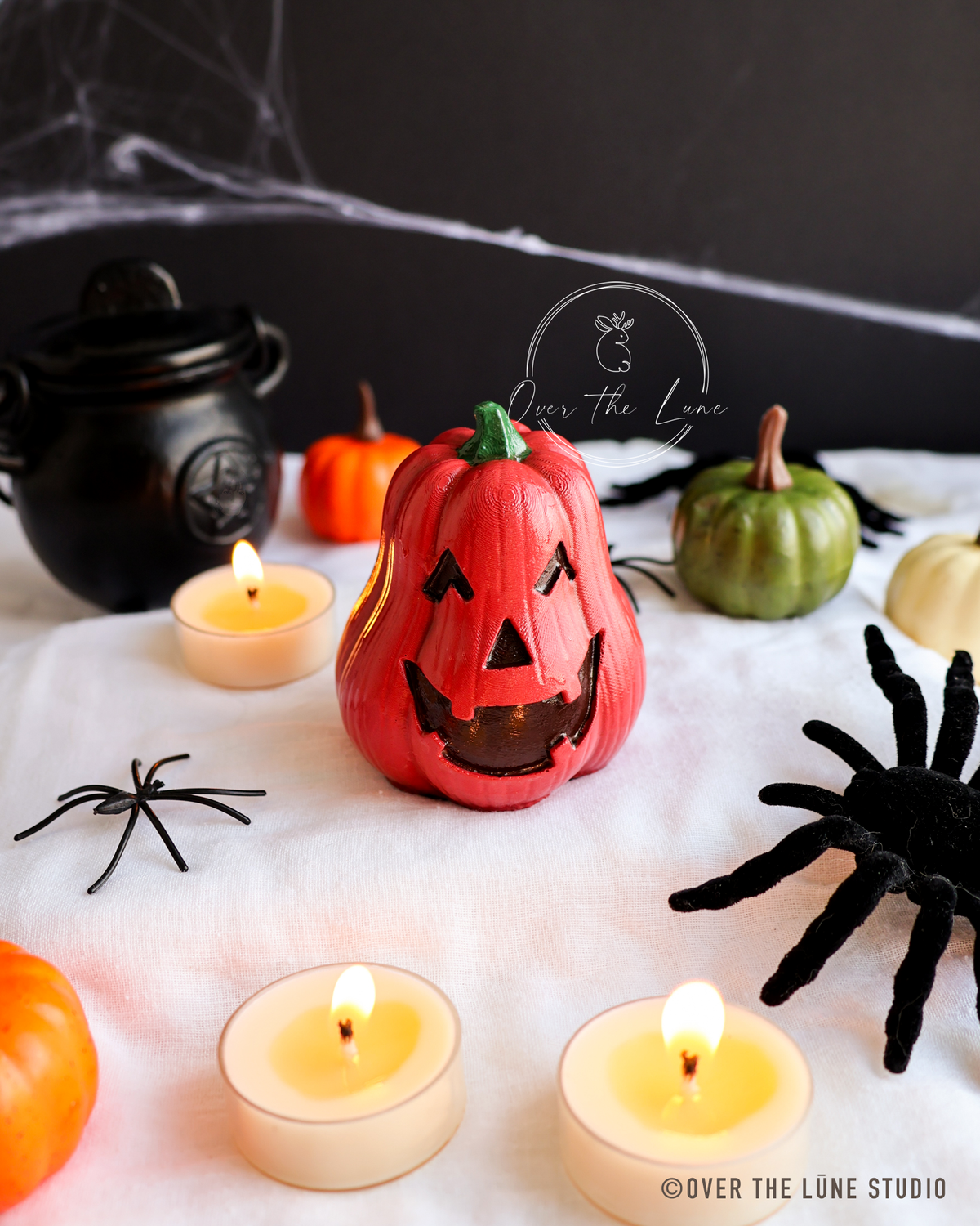 Halloween Squash Decor