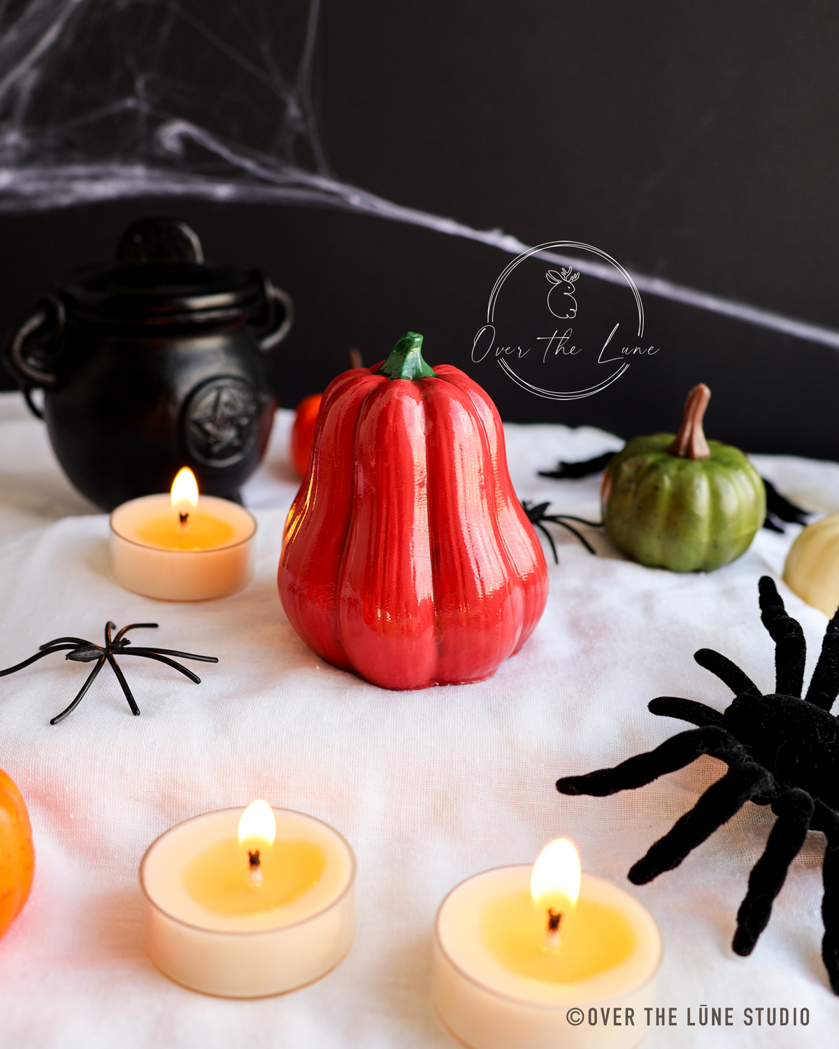 Halloween Squash Decor
