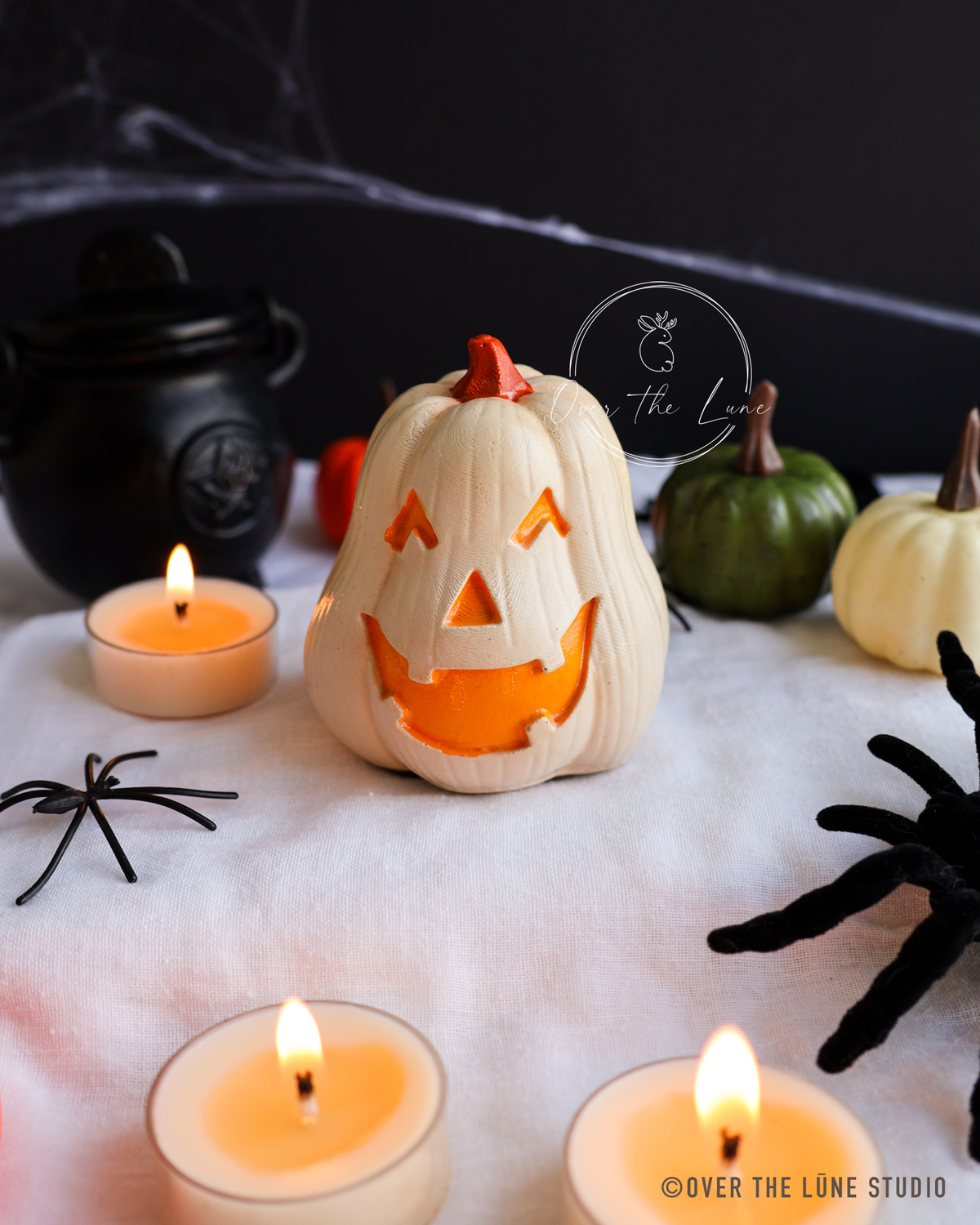 Halloween Squash Decor