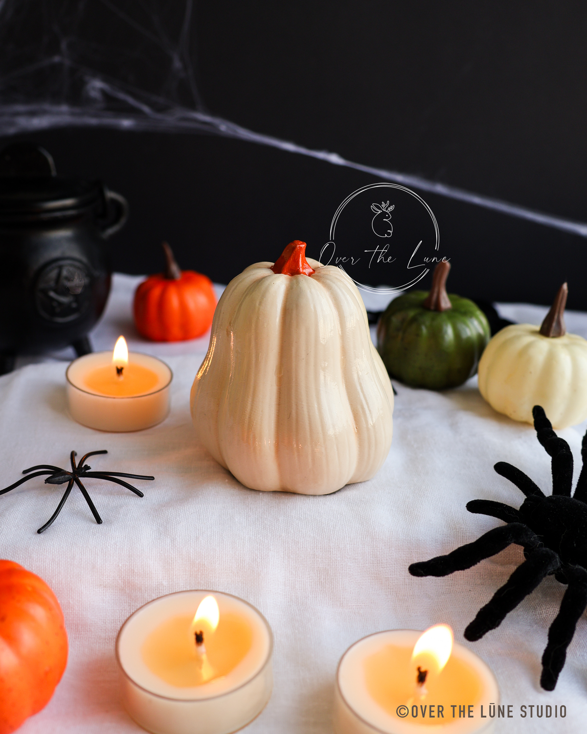 Halloween Squash Decor