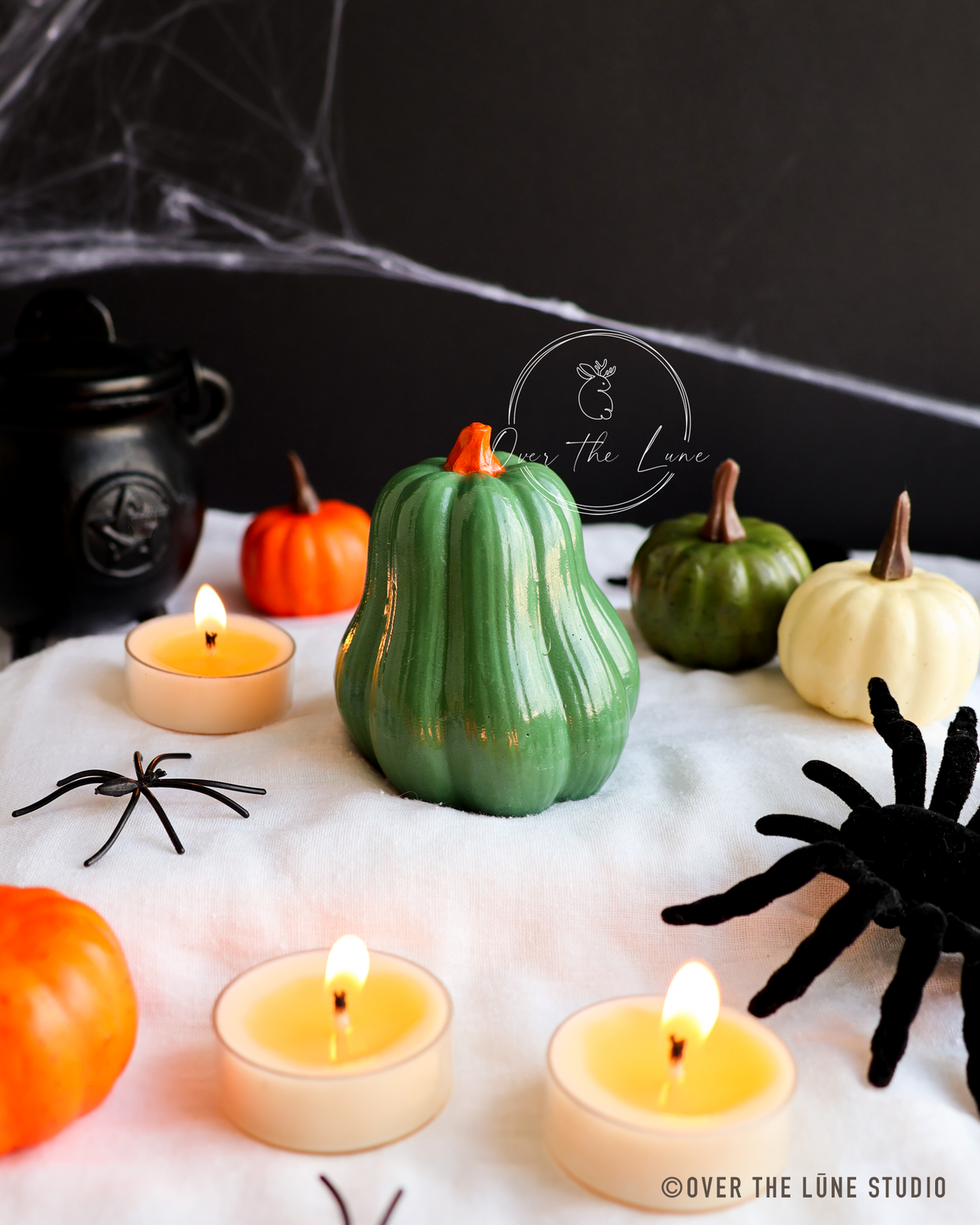 Halloween Squash Decor