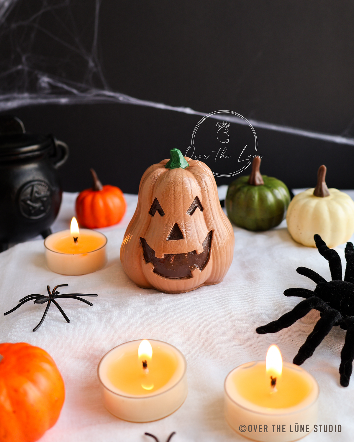 Halloween Squash Decor