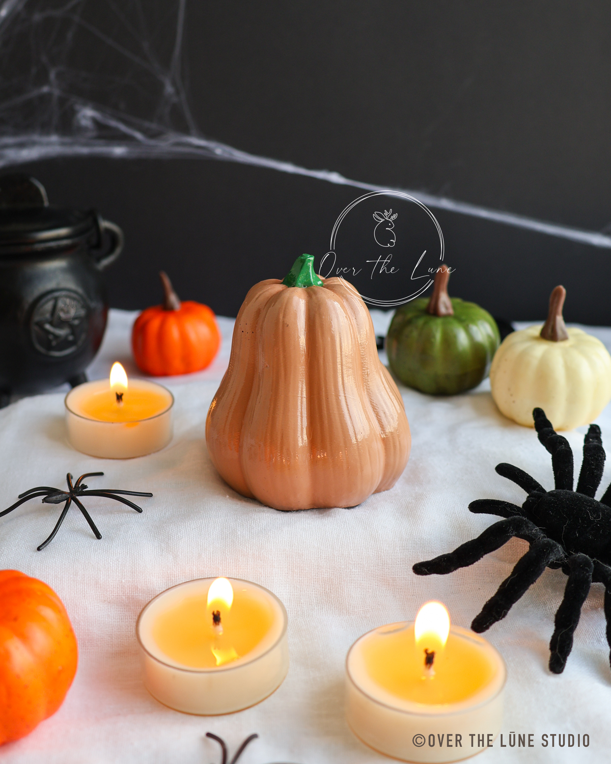 Halloween Squash Decor