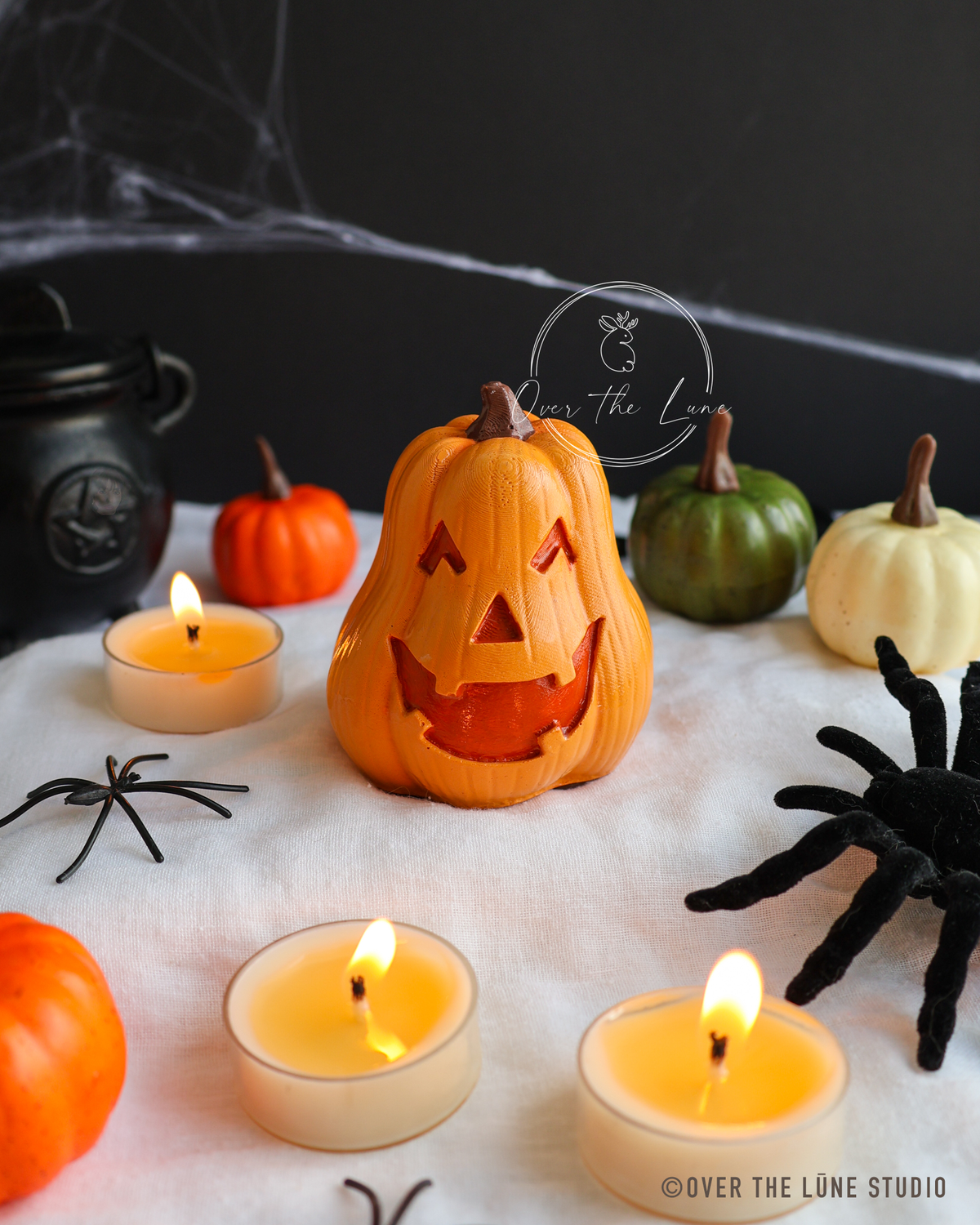 Halloween Squash Decor