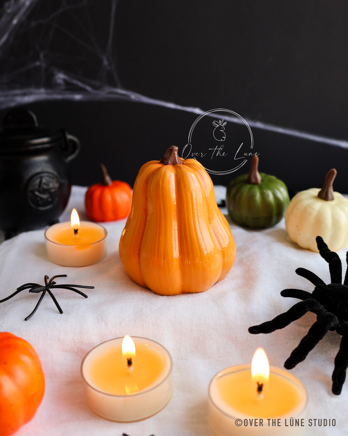 Halloween Squash Decor