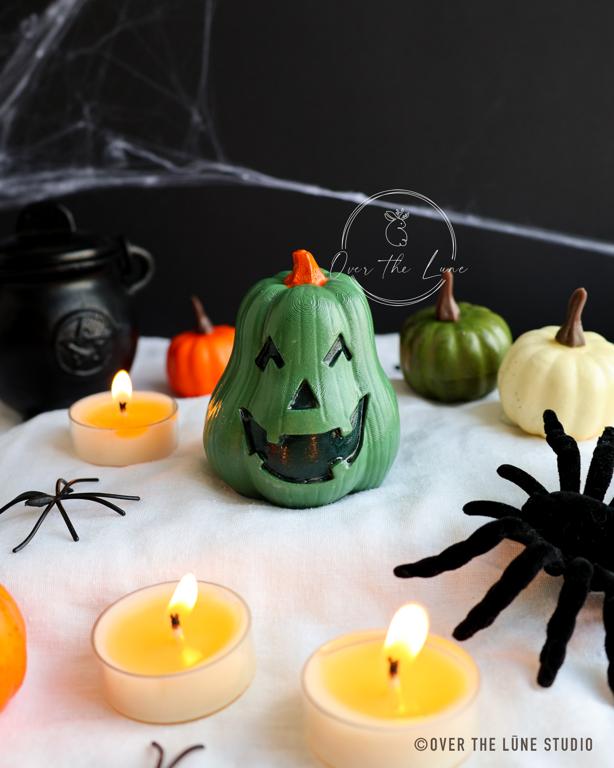 Halloween Squash Decor