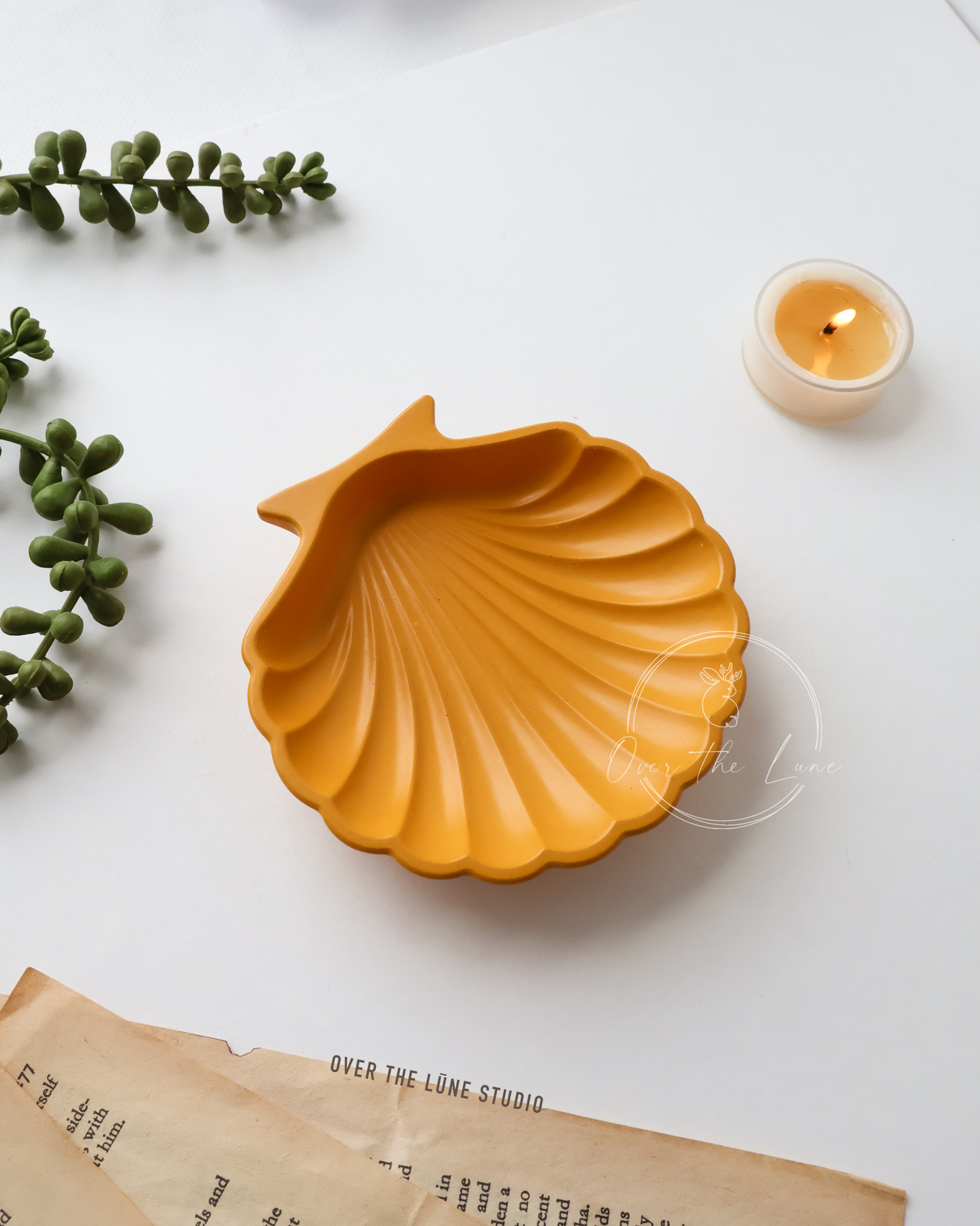 Shell Clam Tray