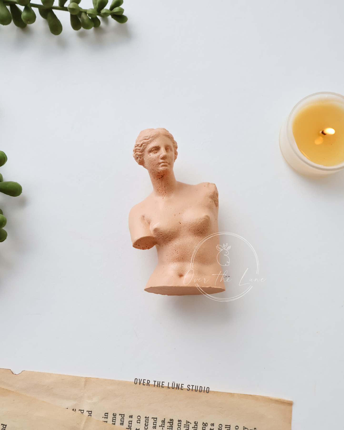 Venus Bust