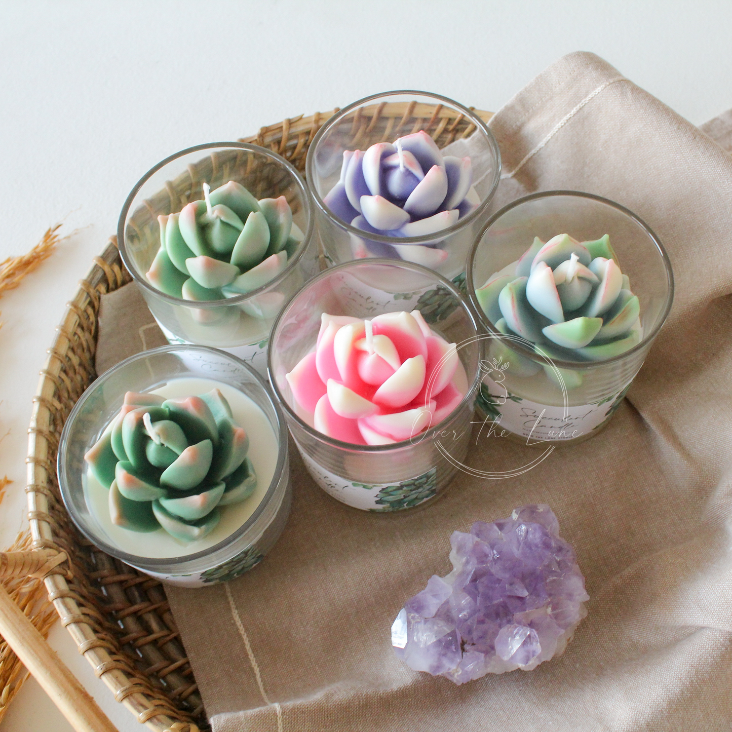 Succulent Jar Candle