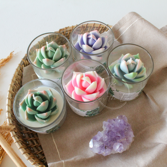 Succulent Jar Candle